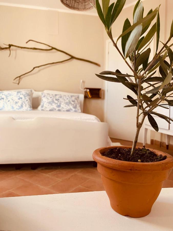 Badia Pavese La Casa Nei Campi 빌라 외부 사진